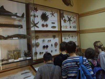 muzeum 14.jpg